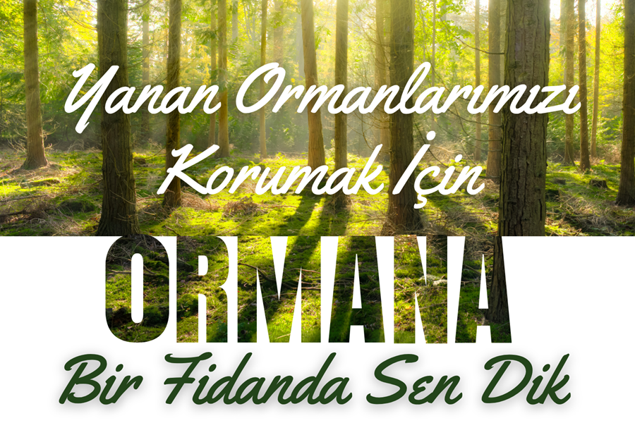 Yeşillendiren Sigorta